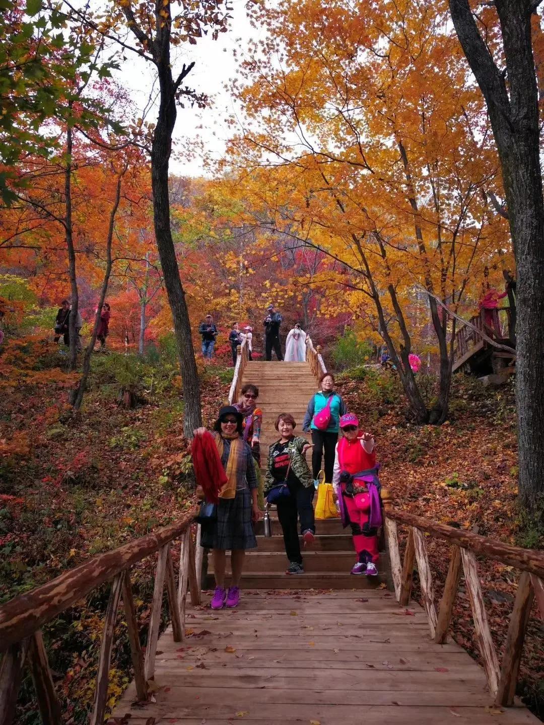 旅游景点畅玩团购,景点游玩优惠团购