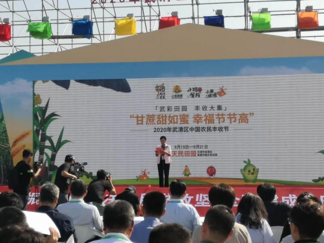 央媒集体点赞,央视新闻联播点赞9万亩小麦