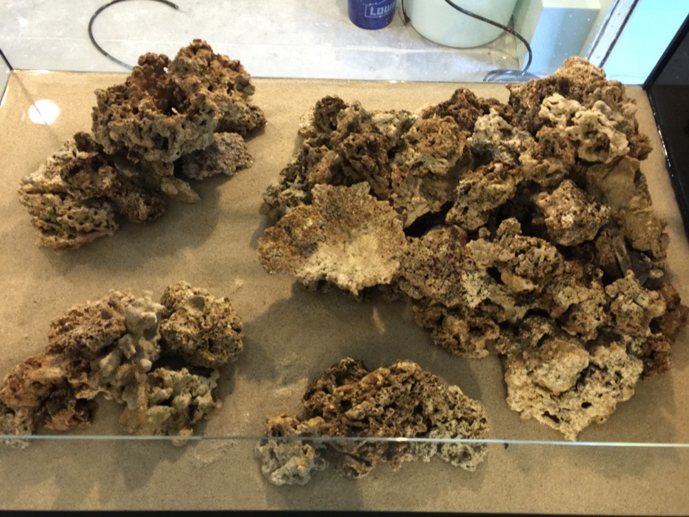 经典海水礁岩生态缸分享，180×120×60厘米三面观赏海缸