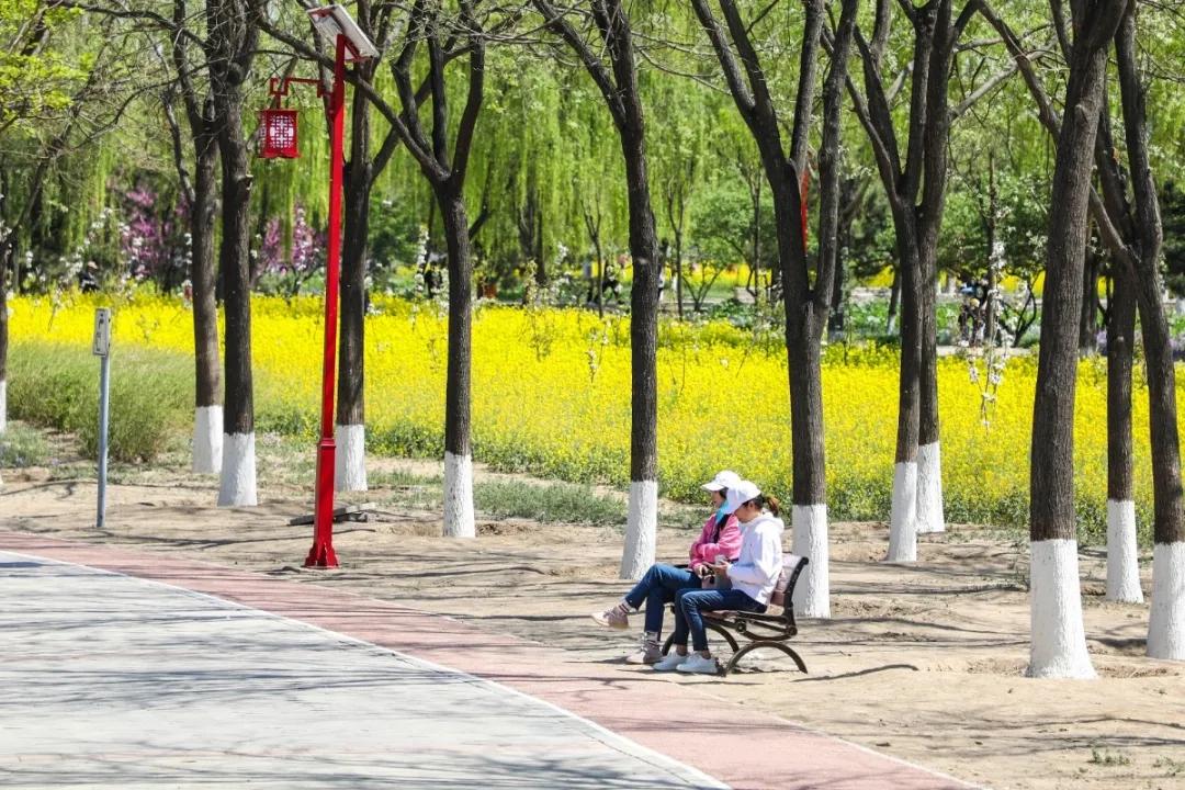 北京人少景美赏秋的公园,北京赏秋中山公园