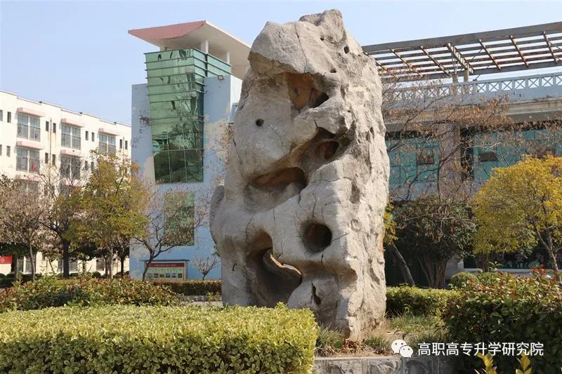 永城职业学院单招真题,永城职业学院五年一贯制录取