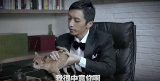 白客演过的影视剧,曾是最受欢迎的电视剧男主