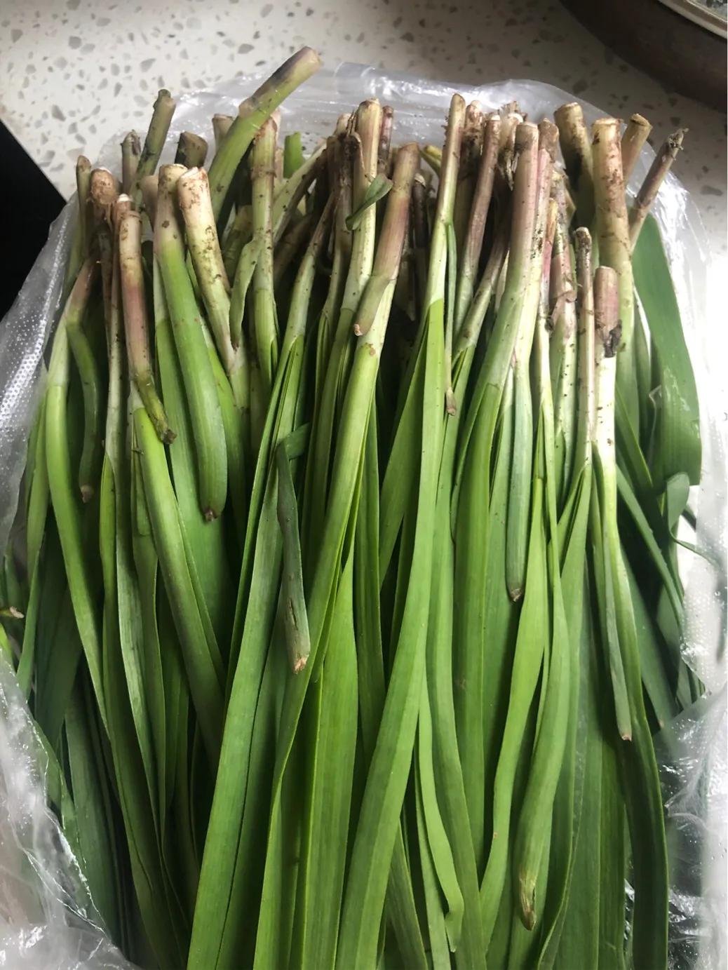 韭菜虾仁鸡蛋饺子怎么调馅,韭菜鸡蛋干虾仁饺子怎么调味