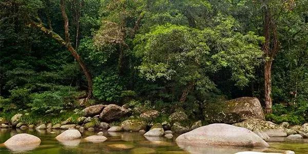 身份证410、411、412开头的，去了郑州就等于去了全世界