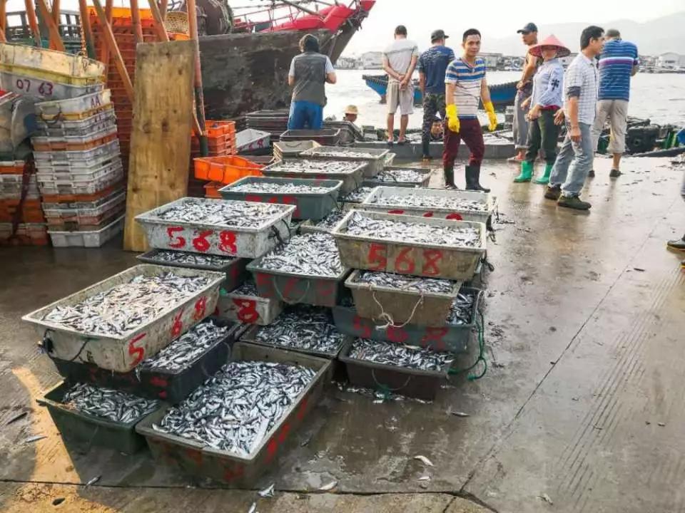 在海南岛最霸气的渔港码头,海南十大渔港码头