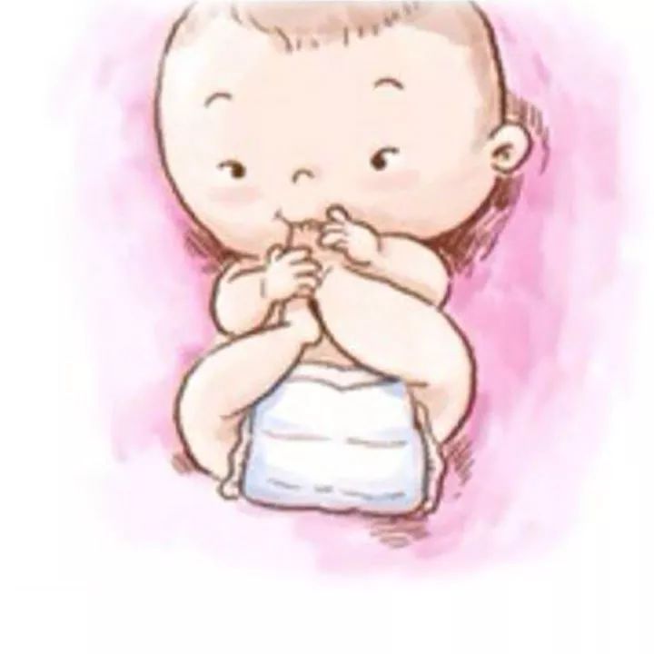 小鸭宝宝生长全过程,五只鸭子宝宝