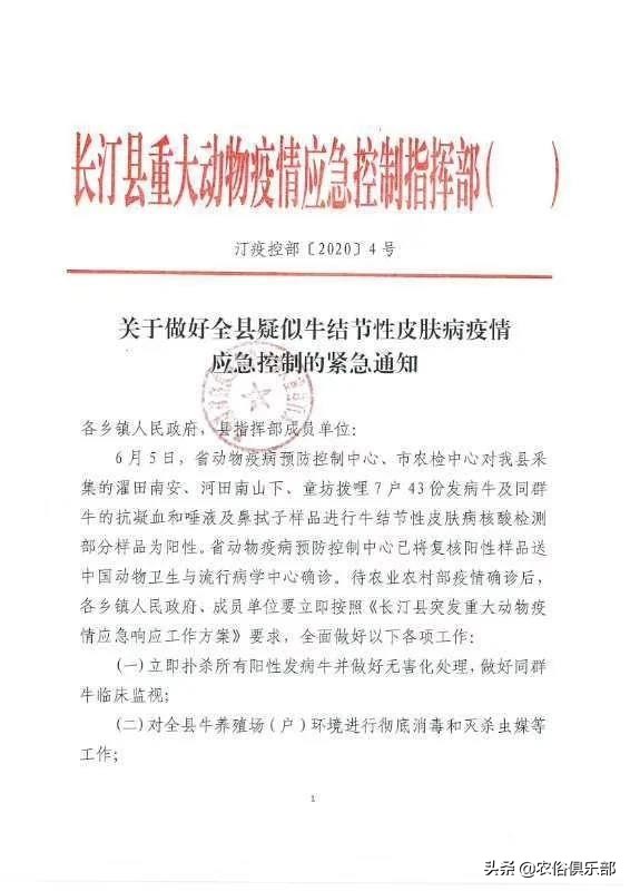 多省爆发牛皮肤病,三伏天不建议买牛,这些建议值得养牛人借鉴