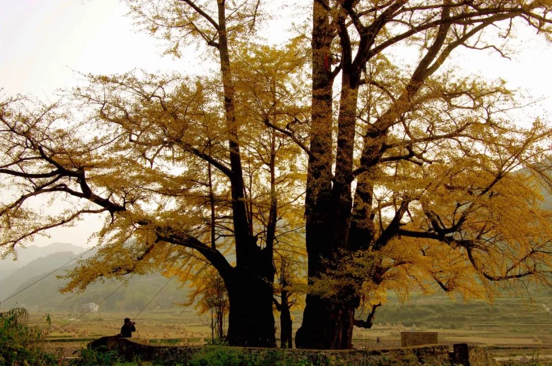 藏在贵州的十座千年古镇,贵州一个低调的千年古城