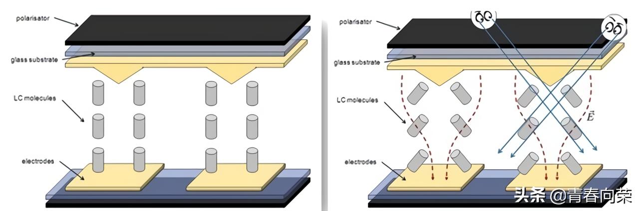 一般家用电脑显示器怎样选购,初学者如何选择电脑显示器