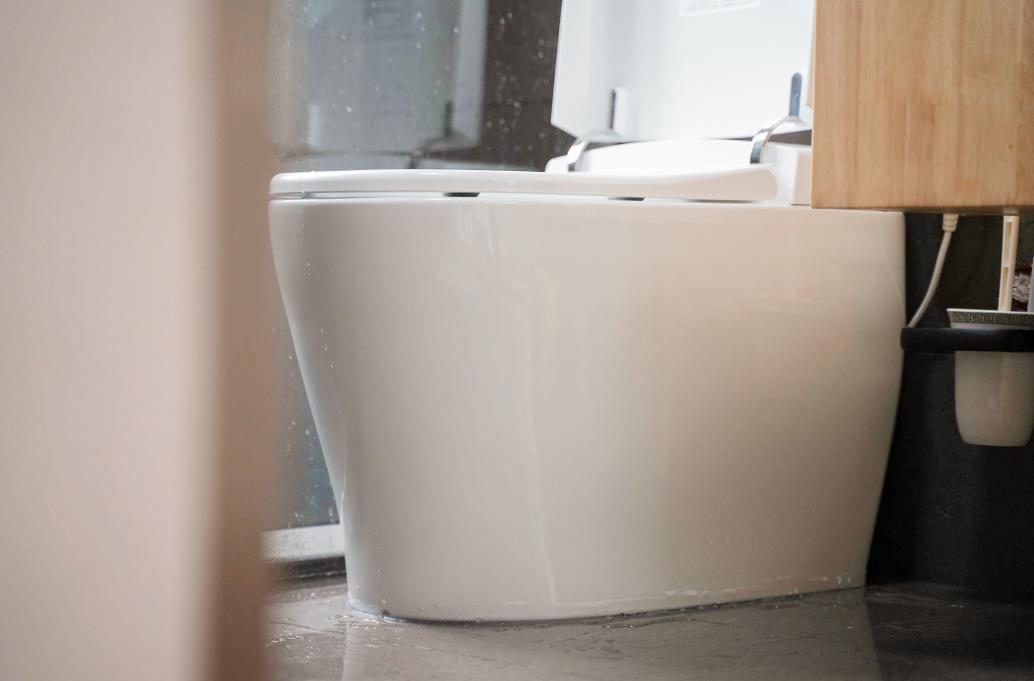 云米智能马桶和小鲸洗智能马桶,米家小鲸洗智能马桶