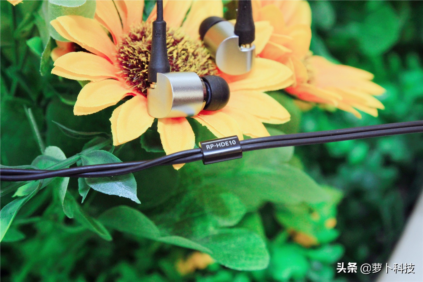 低音惊艳中高频惊喜：高解析耳机松下RP-HDE10试听体验