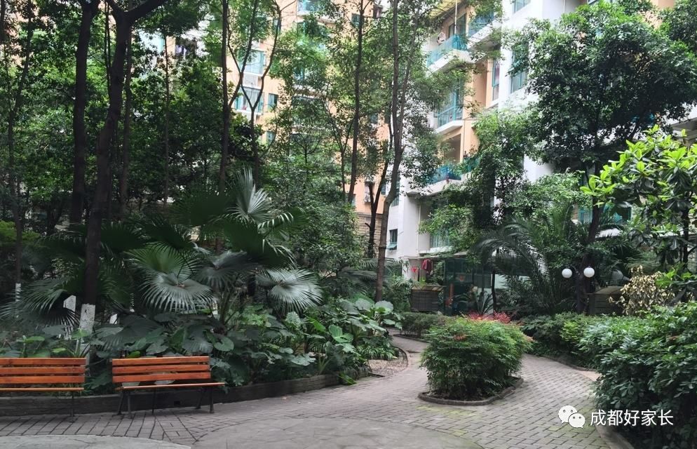 青羊区十大学区房,青羊区十大学位学区房