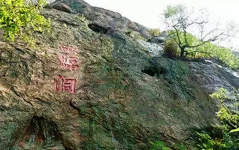 六安霍山蝙蝠洞茶叶,安徽六安蝙蝠洞瓜片