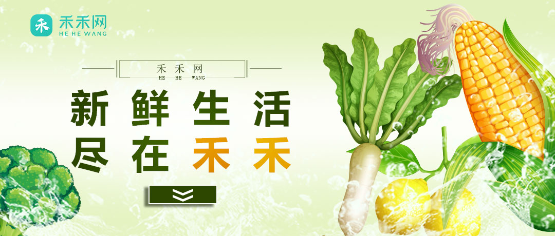 玫瓣裹雪影，芳心含芝粒——火龙果