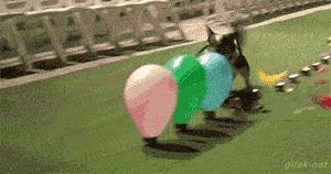 搞笑版的小萝莉,搞笑gif段子妹子你太皮了