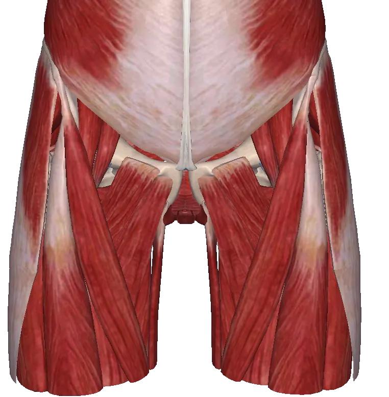 缓解孕期骨盆痛的瑜伽动作,缓解孕期盆骨神经痛