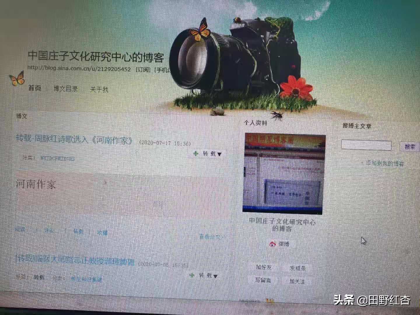 中国新浪明星博客圈入选标准是什么？田野红杏凭借什么入选的