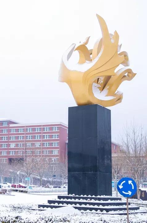 民办学校大连艺术学院全国排名,大连艺术学院辽宁排名