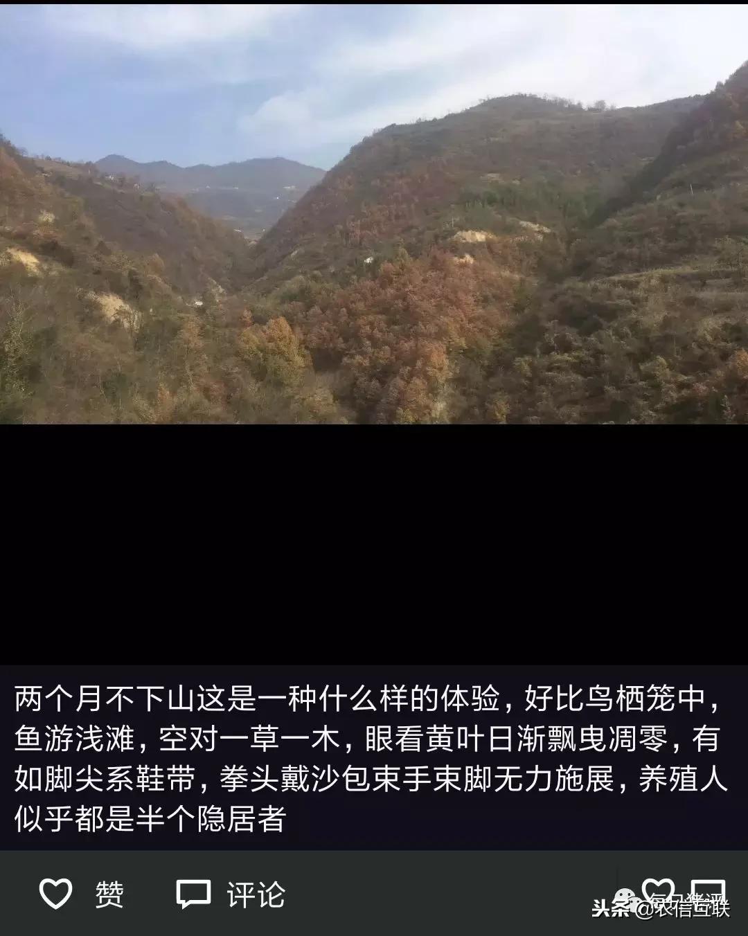 深度好文100个故事,深度好文复盘20年前