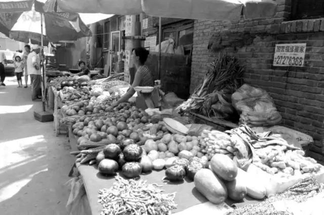 很羡慕天津人的生活状态,在天津最羡慕的就是住在体院北