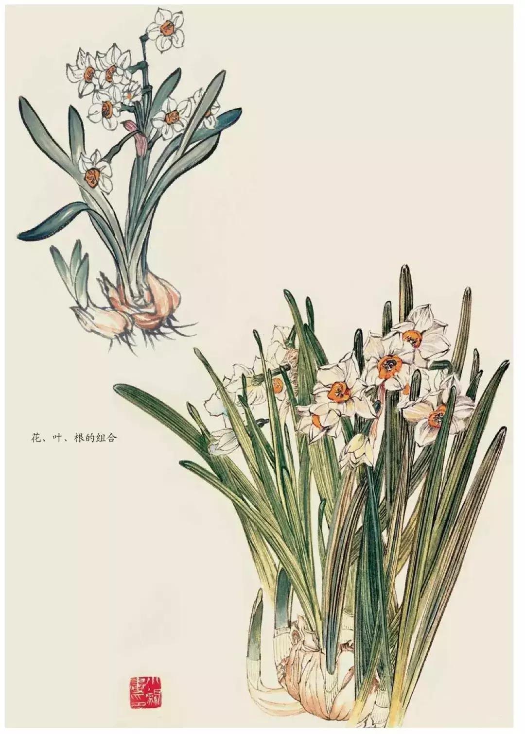 国画中各种花卉的画法,国画花卉画法步骤视频教程