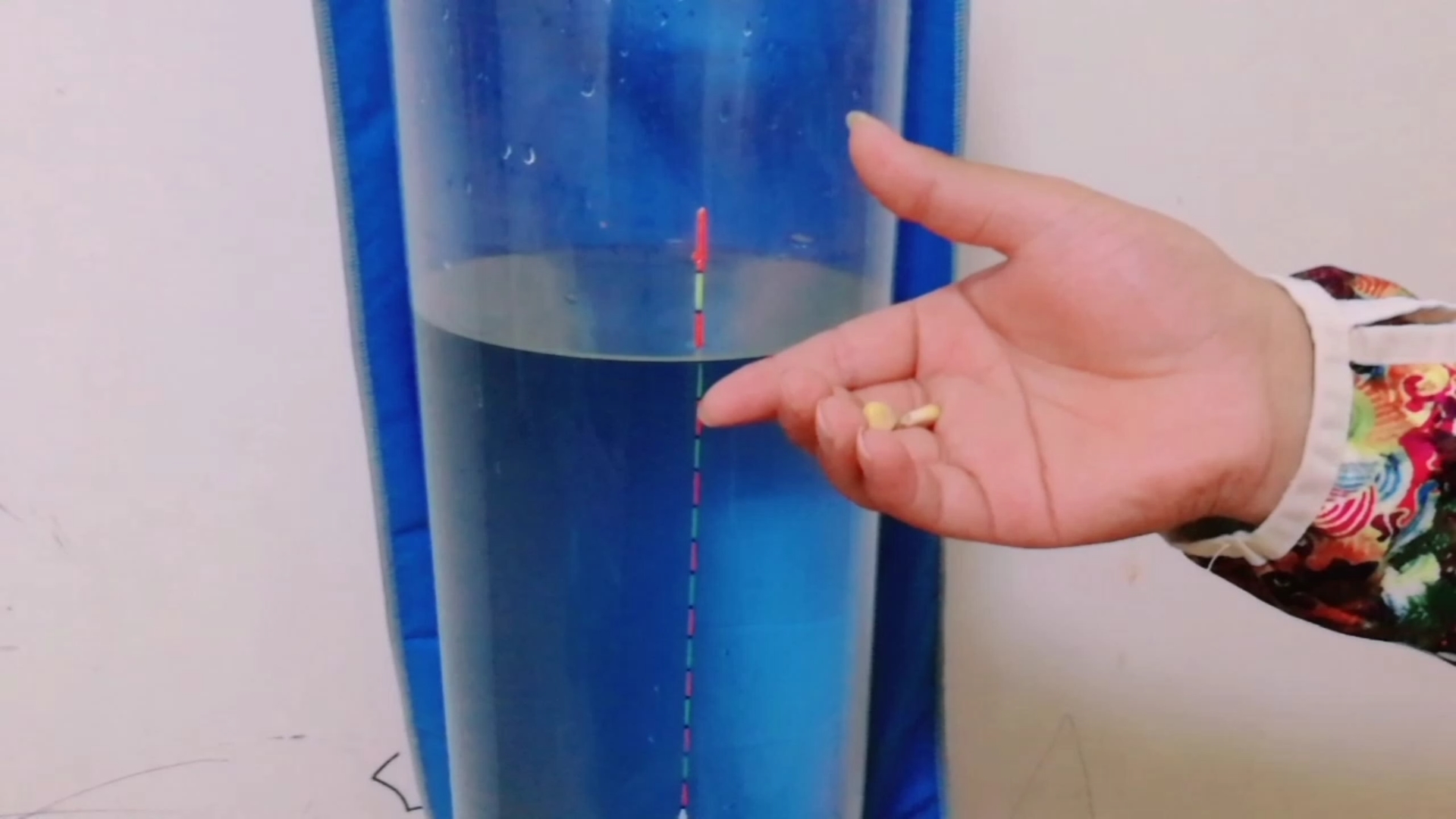 浮漂的调钓你到底了解多少,什么是灵,什么是钝,看完你就知道了