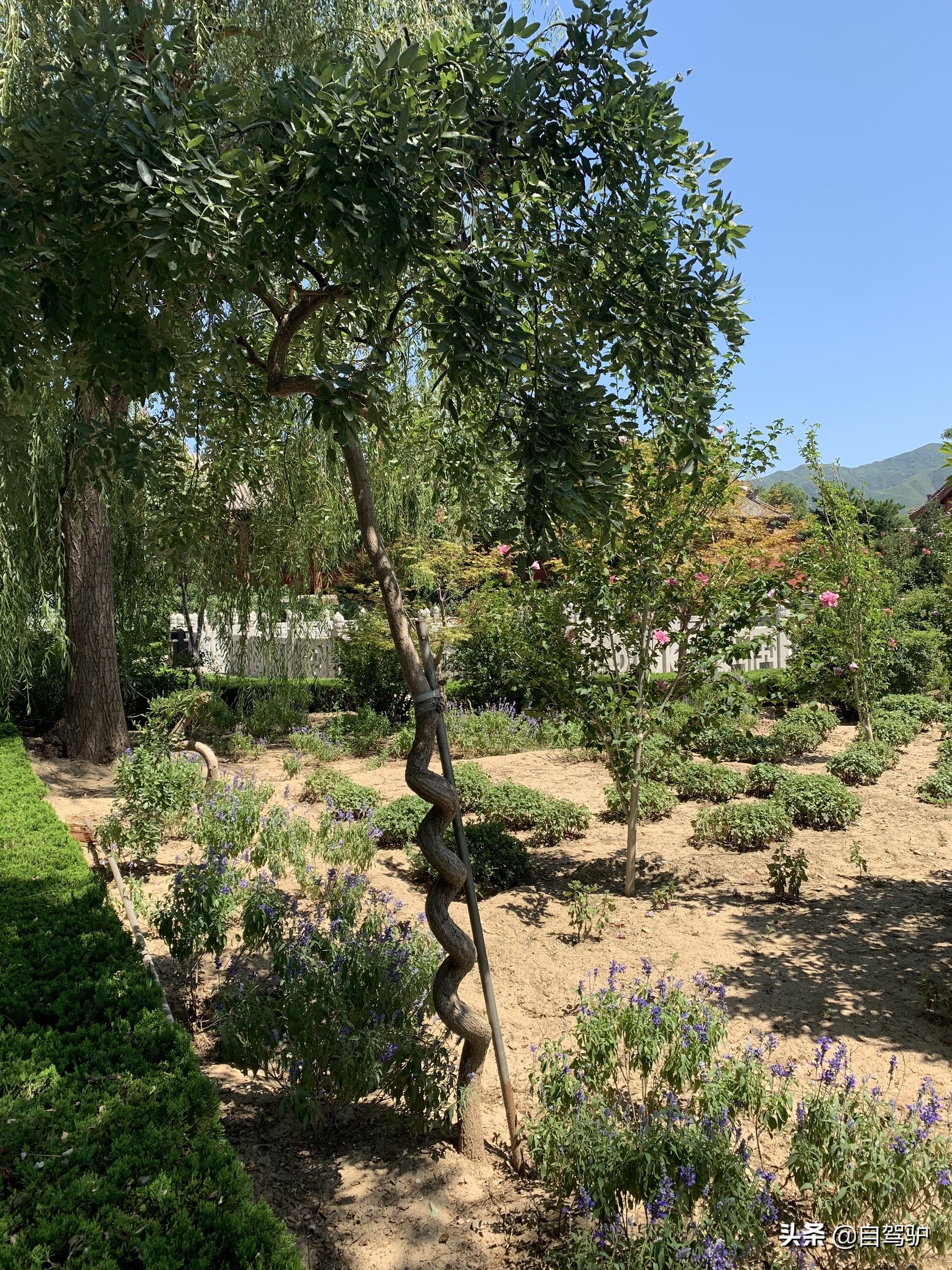 重庆到太原最佳驾车路线,重庆到太原自驾怎么最便宜