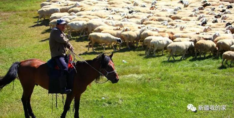 一封手写辞职信火了300万网友点赞,又一封辞职信刷爆朋友圈