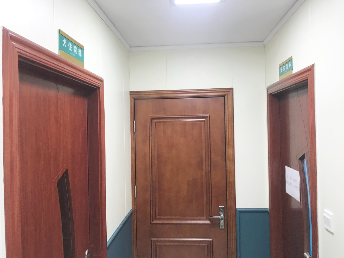 当了铲屎官才知道狗屎有多香,做了4年的铲屎官