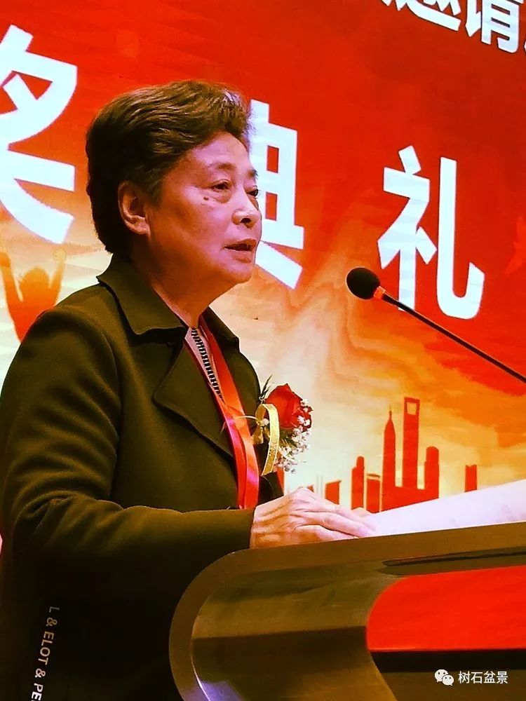 伟大使命复兴中国盆景艺术事业——2019中盆会大事回顾(下篇)