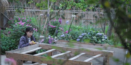 用废弃木床做书架,多功能流觞曲水桌