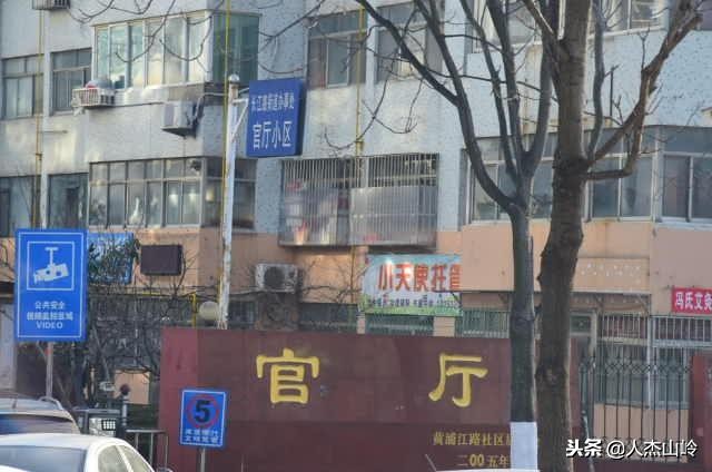 打卡之地,打卡水杉林