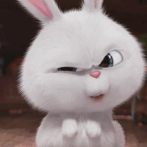 去香港可以买免税品吗,去香港可以买免税商品吗