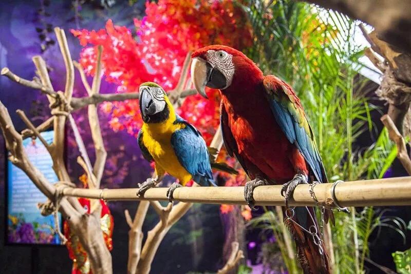 春节去哪里旅游好吃的多一点,好嗨哟吃喝玩乐