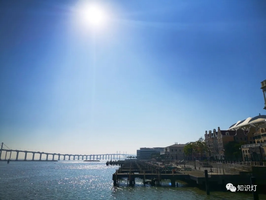 赌城简介,走进赌徒的内心世界