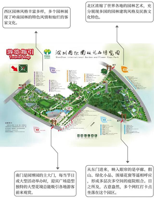 深圳花海景区推荐图片大全,深圳哪里有大片花海