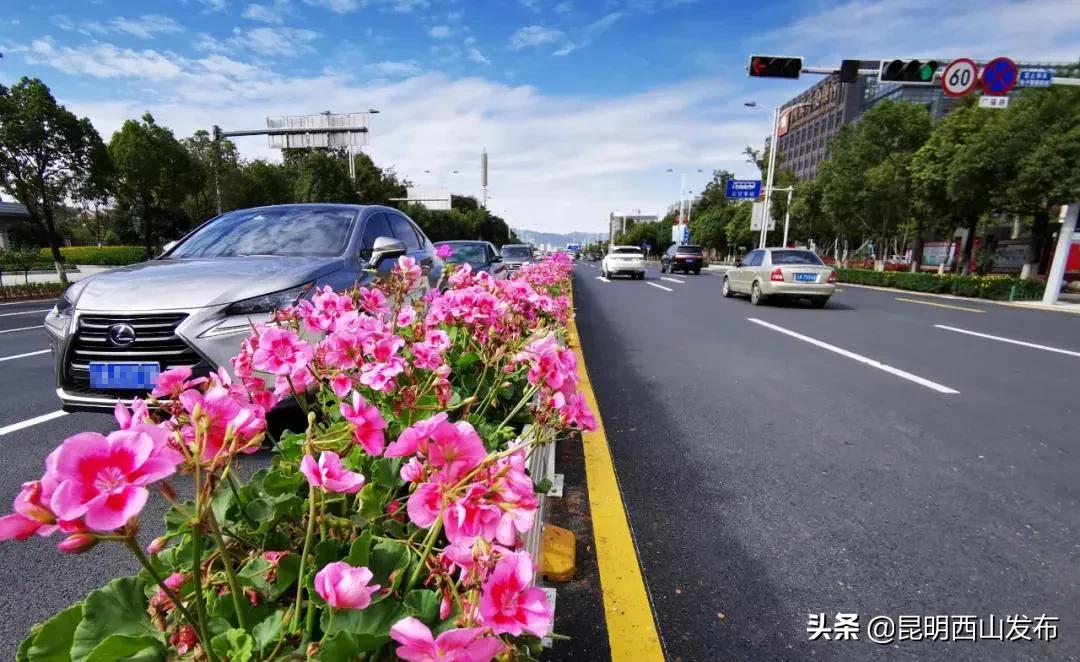 40万盆鲜花扮靓城区迎节,6万盆花扮靓街头迎五一