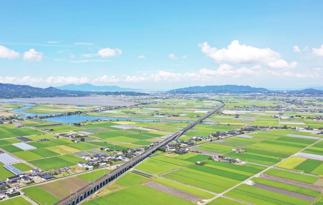 日本有过革命史吗,日本有过什么革命