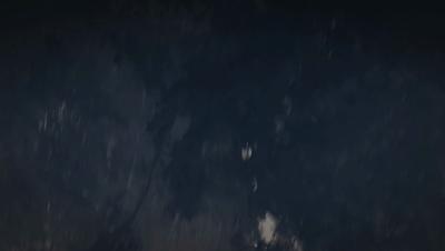 豆瓣netflix电影,bbc地球奇观纪录片