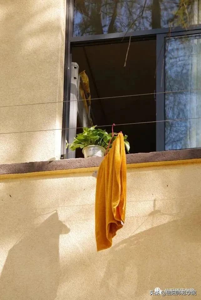 日落大道浪漫出逃歌词,在日落大道浪漫出逃下一句