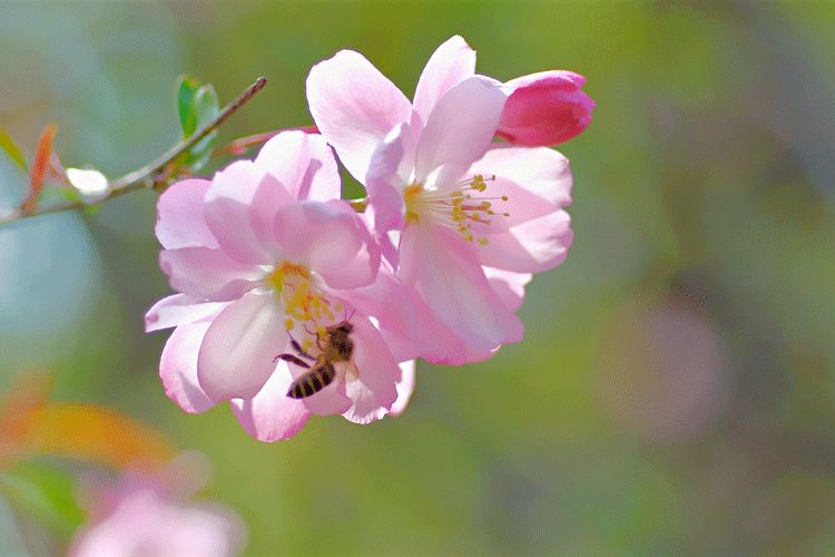 开怀一笑清除烦恼,开怀一笑无烦恼完整版