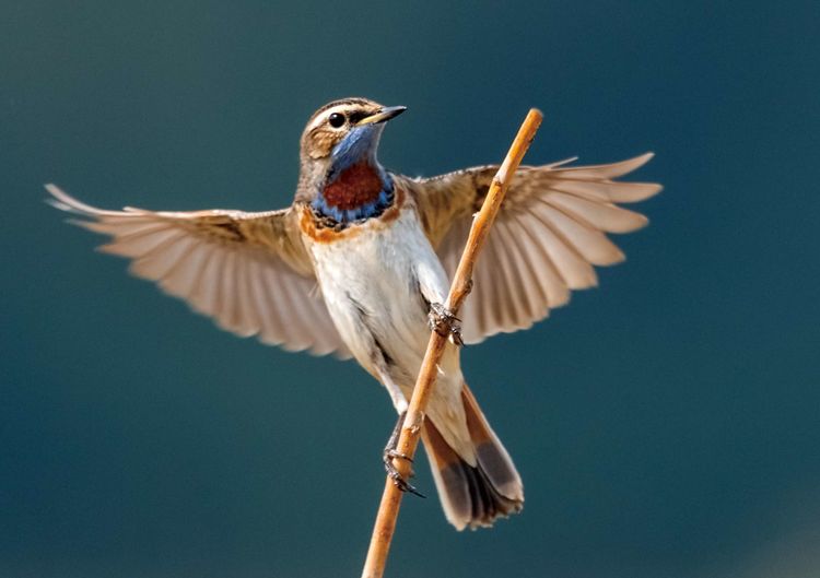 情人岛拍摄地点,情人岛航拍视频