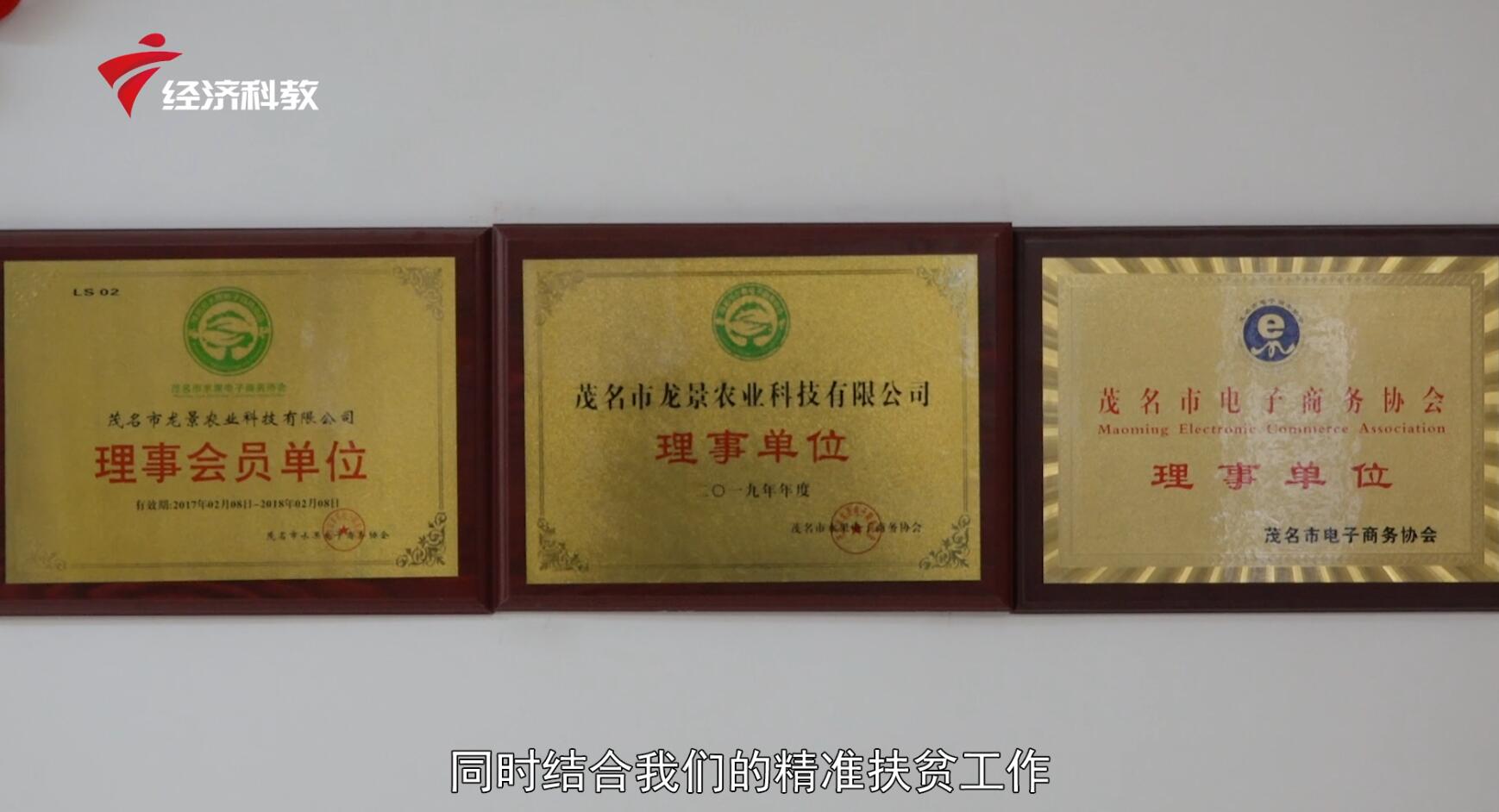 龙景农业,广东新闻联播经济社会发展