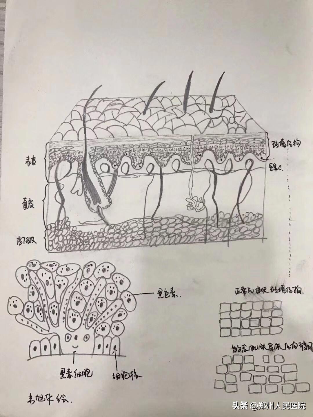 脸红是心跳的感觉吗,脸红心跳是心动的感觉吗