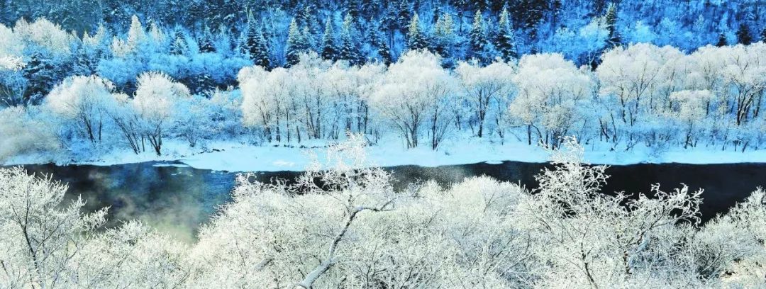 一场温暖而浪漫的婚礼,一场冬天里的婚礼