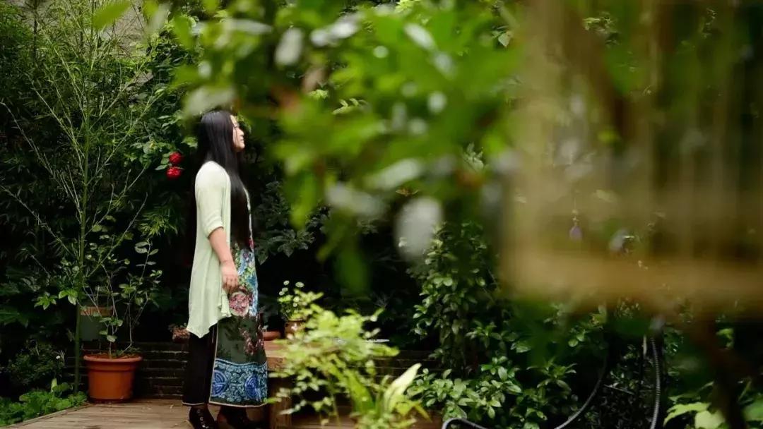 多尔衮府邸花园,北京胡同里的多尔衮王府