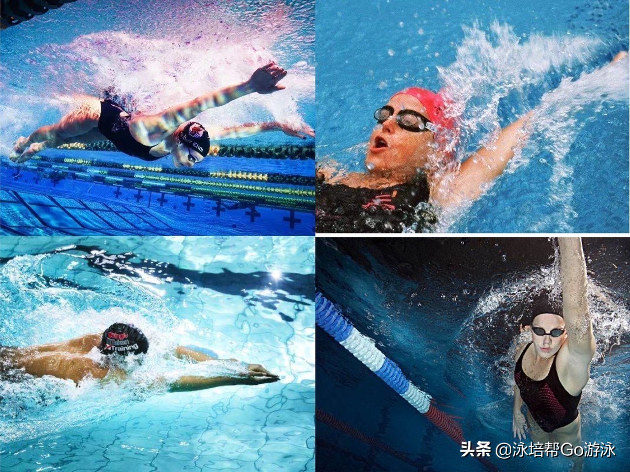 游泳基础自学,游泳自学入门篇