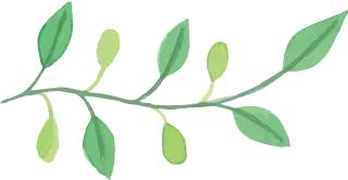 PKD魔咒：我的身体不听话|“生而不凡”专栏