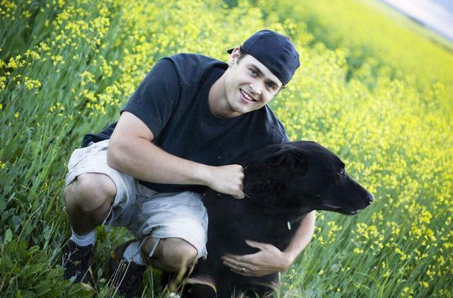 拉布拉多犬为什么不建议养,养拉布拉多犬的利弊分析