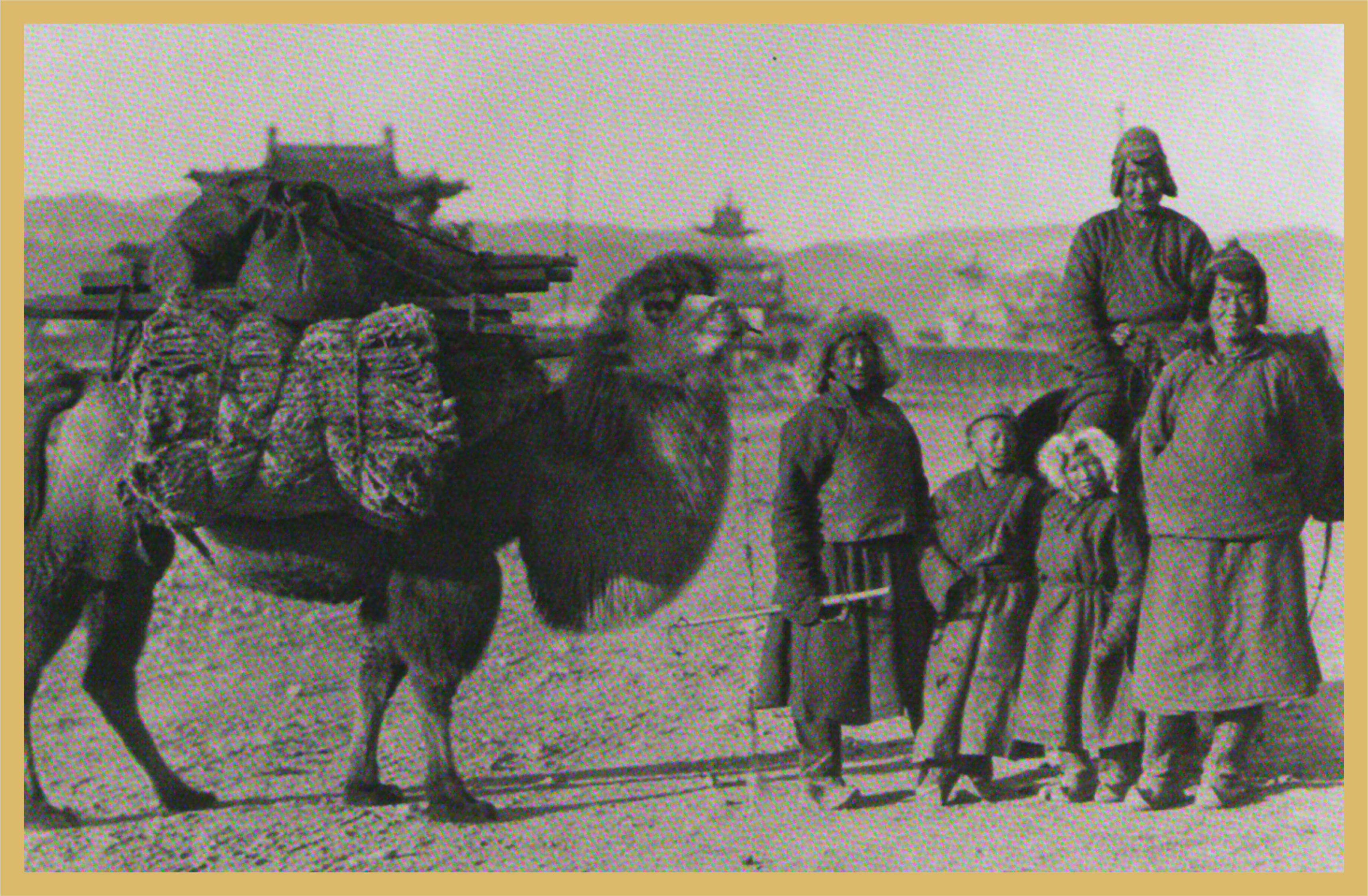 青砖茶万里茶道,羊楼洞万里茶道青砖茶